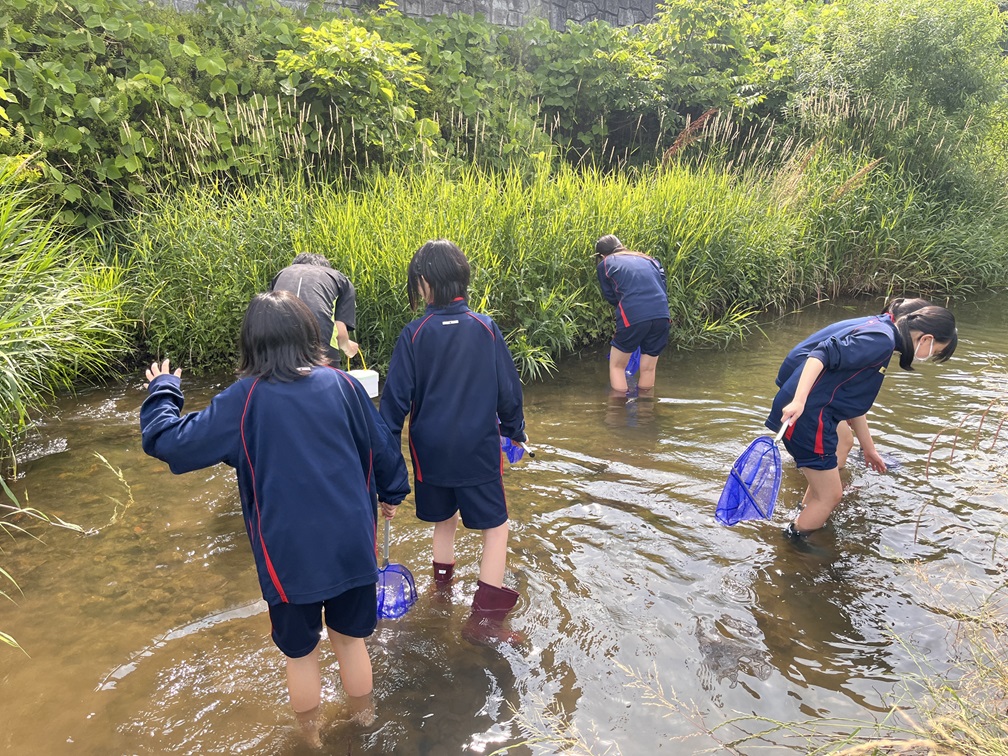 純心・滝山自然観察会